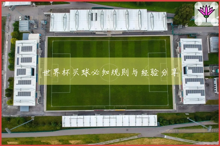 世界杯买球必知规则与经验分享