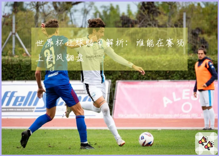 世界杯让球赔率解析：谁能在赛场上逆风翻盘