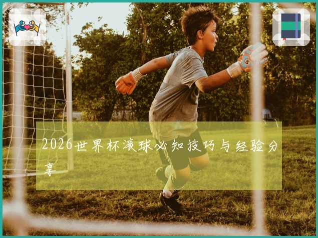 2026世界杯滚球必知技巧与经验分享