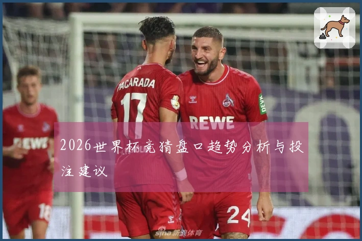 2026世界杯竞猜盘口趋势分析与投注建议
