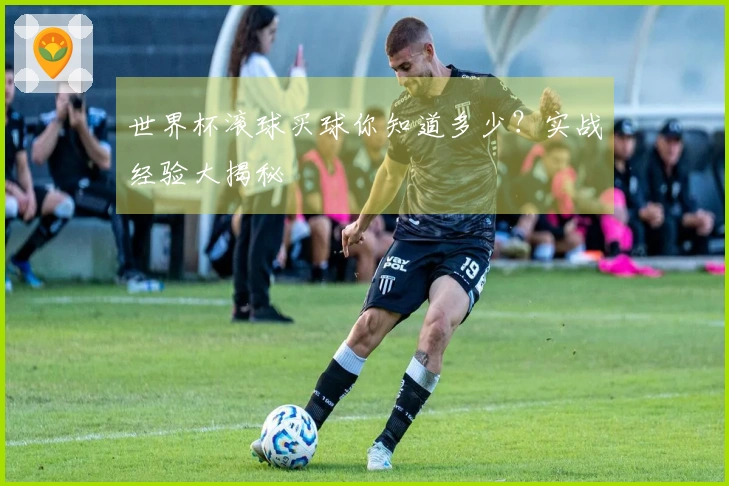 世界杯滚球买球你知道多少？实战经验大揭秘