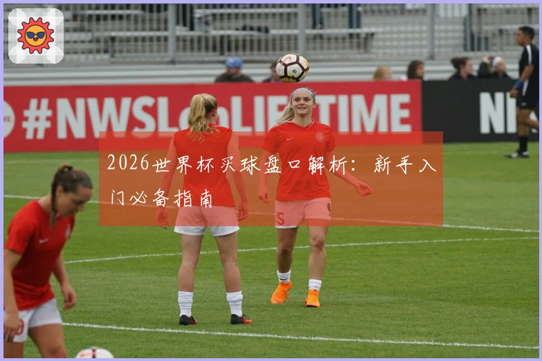 2026世界杯买球盘口解析：新手入门必备指南