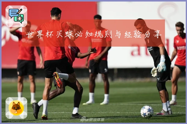 世界杯买球必知规则与经验分享