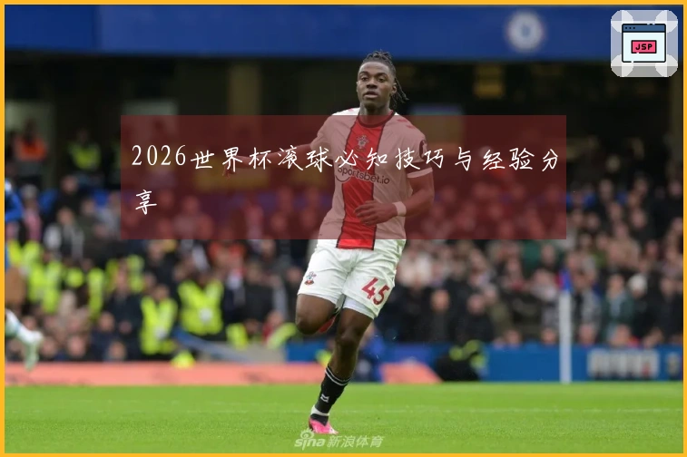 2026世界杯滚球必知技巧与经验分享